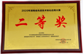 2020年湖南省先进手艺转化应用大赛二等奖