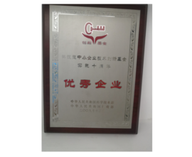 2009年获科技型中小企业手艺立异基金实验十周年“优异企业”