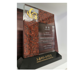 2005年上海国际工业展览会金奖