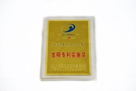 长沙高新区二零逐一年度发明专利实验奖