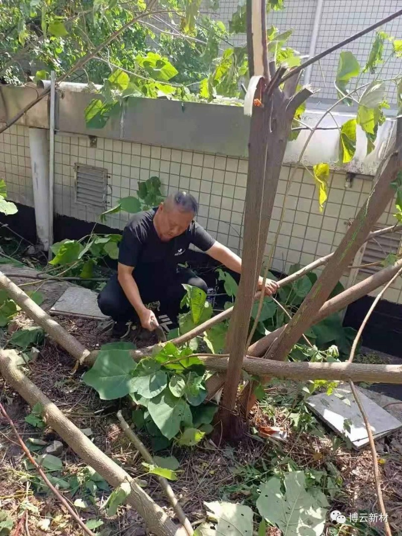 东升国际官网-追求康健,你我一起生长